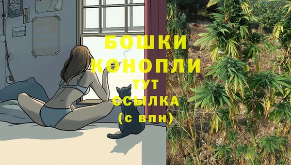 герыч Дедовск