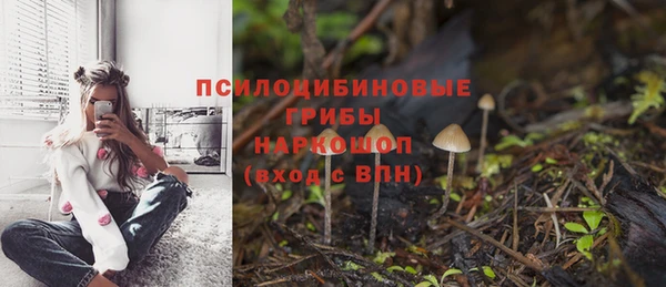 ешки Волоколамск