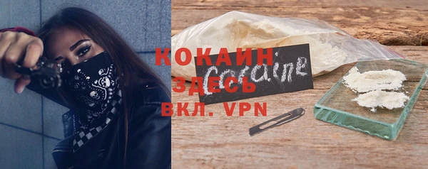 спайс Данков