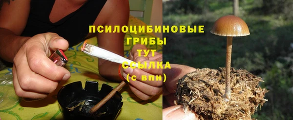 ешки Волоколамск