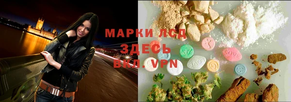 ECSTASY Вяземский
